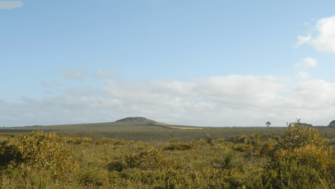 Mt Arid