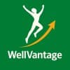 WellVantage (IIT-K incubated) logo